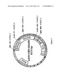 DELIVERY OF THERAPEUTIC AGENTS TO THE BONE diagram and image