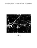 ELECTROSPUN STRUCTURES AND METHODS FOR FORMING AND USING SAME diagram and image