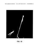 ELECTROSPUN STRUCTURES AND METHODS FOR FORMING AND USING SAME diagram and image