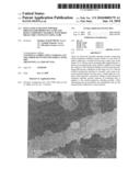 INSULATED ULTRAFINE POWDER, PROCESS FOR PRODUCING SAME AND RESIN COMPOSITE MATERIAL WITH HIGH DIELECTRIC CONSTANT USING SAME diagram and image