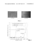 STRUCTURAL REINFORCEMENT OF MEMBRANE ELECTRODES diagram and image