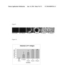 LIQUID CRYSTAL BASED ANALYTE DETECTION diagram and image