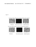 LIQUID CRYSTAL BASED ANALYTE DETECTION diagram and image