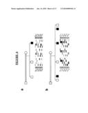 Lafora s disease gene diagram and image