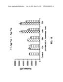 Method for Modeling a Disease diagram and image