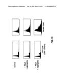 Method for Modeling a Disease diagram and image