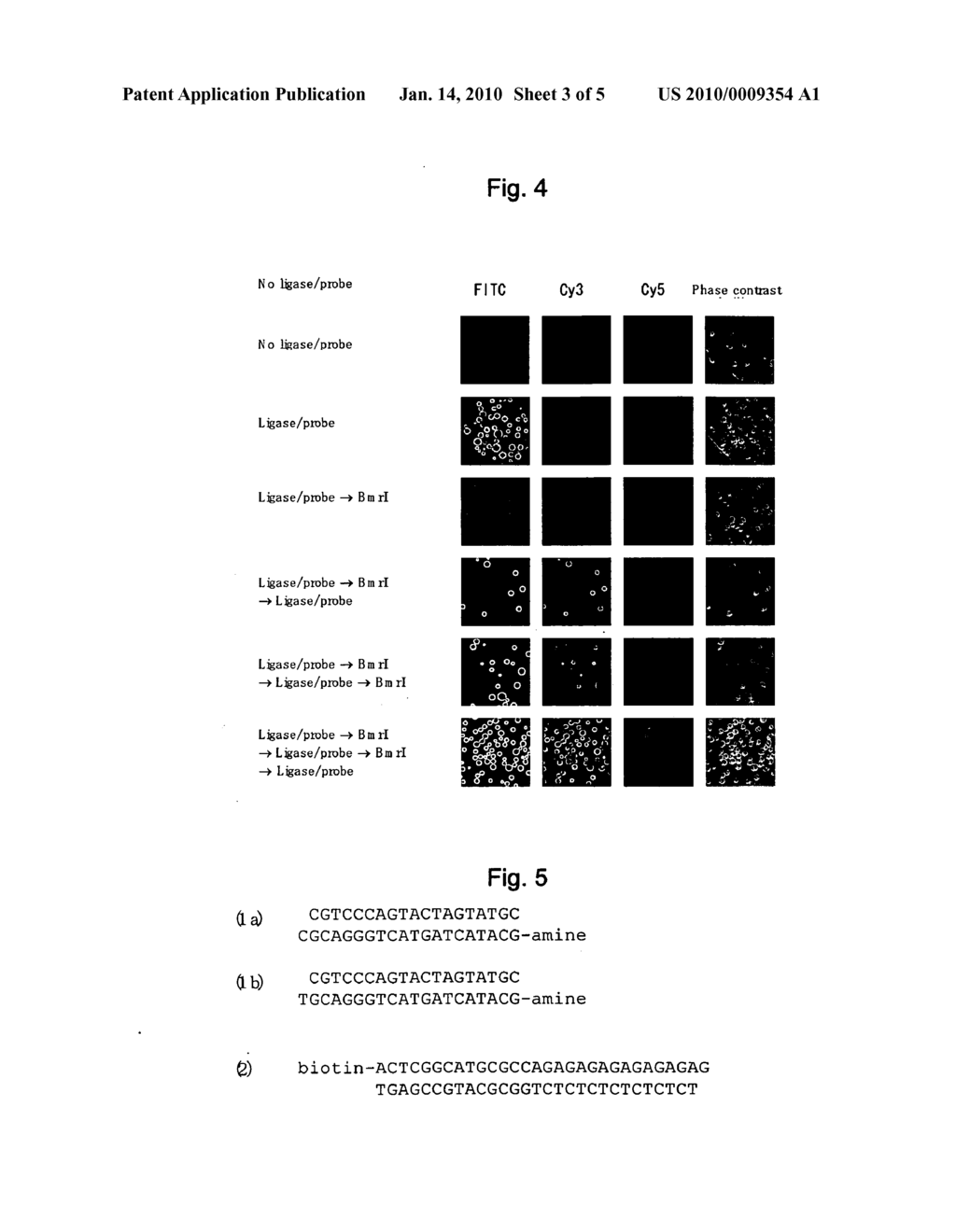 METHOD FOR DETERMINING BASE SEQUENCE OF DNA - diagram, schematic, and image 04