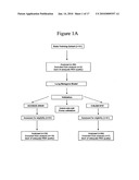 PREDICTION OF LUNG CANCER TUMOR RECURRENCE diagram and image