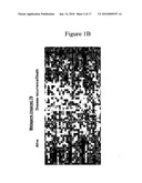 PREDICTION OF LUNG CANCER TUMOR RECURRENCE diagram and image