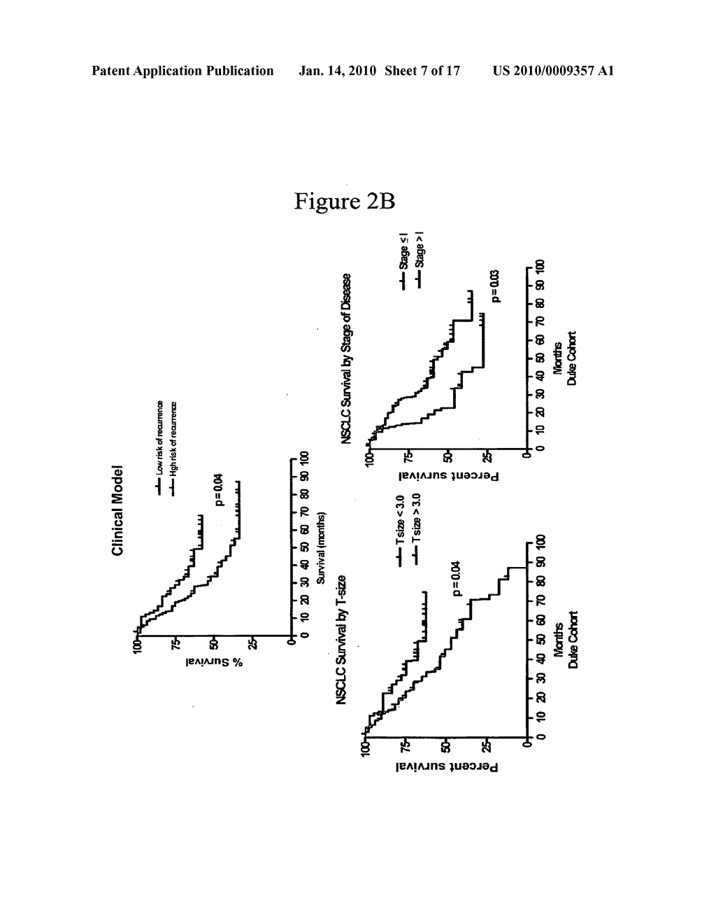 PREDICTION OF LUNG CANCER TUMOR RECURRENCE - diagram, schematic, and image 08