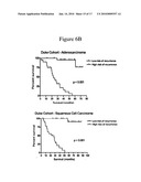 PREDICTION OF LUNG CANCER TUMOR RECURRENCE diagram and image