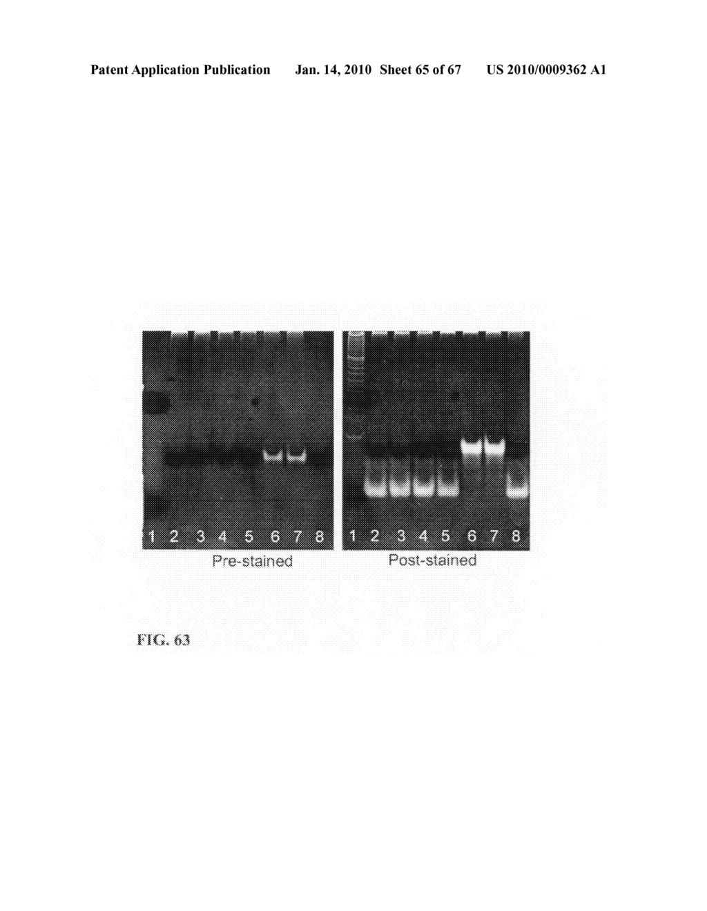 Fluorescent water-soluable conjugated polyene compounds that exhibit aggregation induced emission and methods of making and using same - diagram, schematic, and image 66