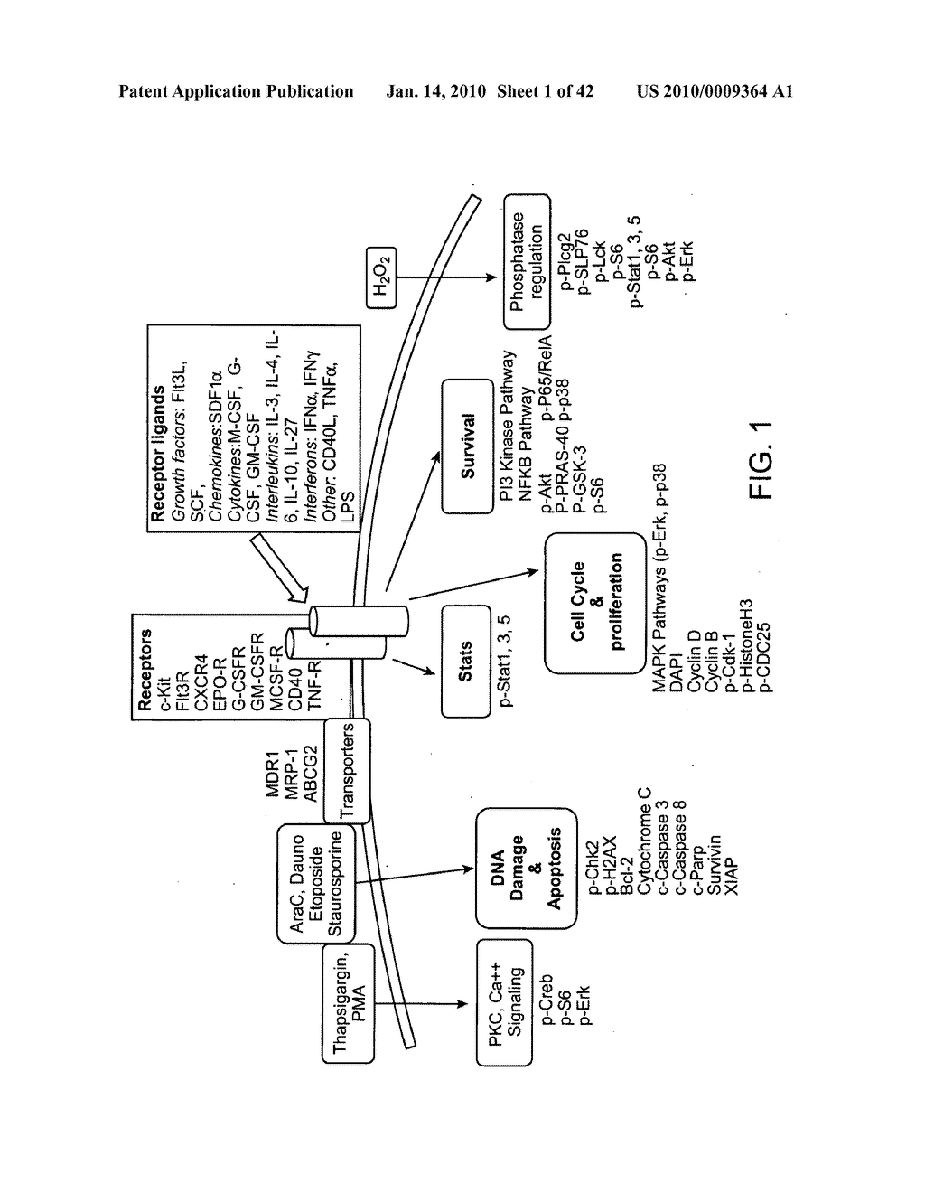 Methods for diagnosis, prognosis and methods of treatment - diagram, schematic, and image 02