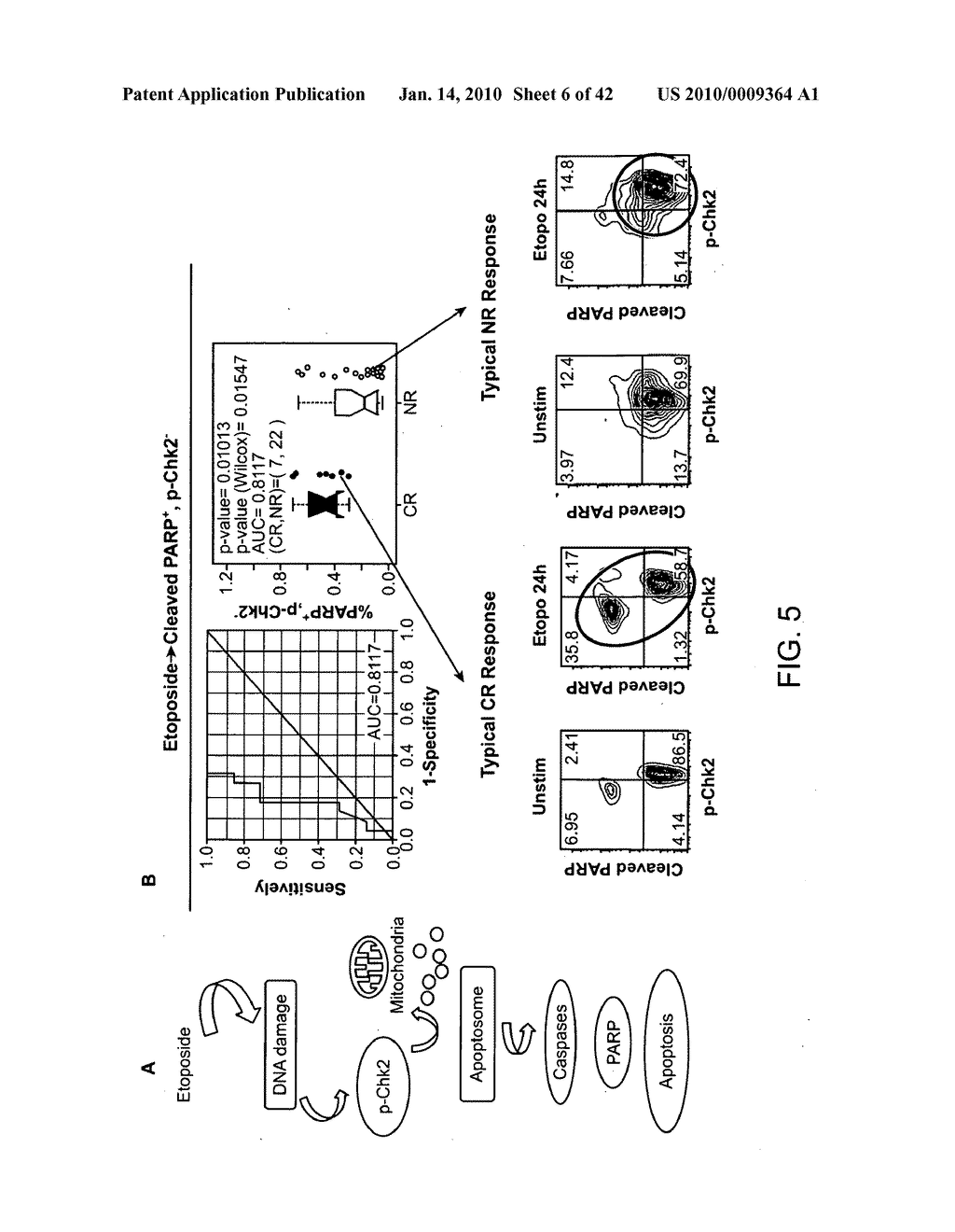 Methods for diagnosis, prognosis and methods of treatment - diagram, schematic, and image 07