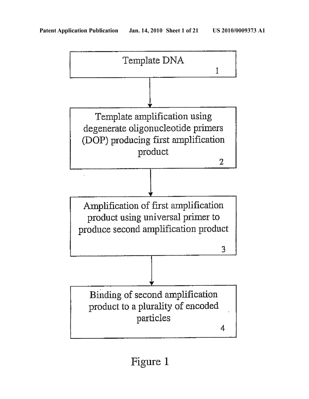 METHODS AND COMPOSITIONS RELATING TO MULTIPLEX GENOMIC GAIN AND LOSS ASSAYS - diagram, schematic, and image 02