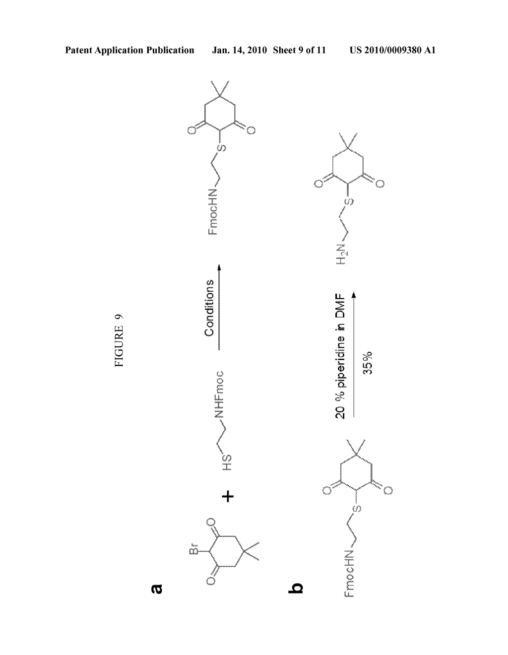 COMPOSITIONS AND METHODS FOR CHARACTERIZATION OF CYSTEINE OXIDATIVE STATES - diagram, schematic, and image 10