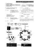 METHODS AND COMPOSITIONS FOR DIAGNOSING LUNG CANCER diagram and image