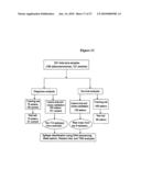 METHODS AND COMPOSITIONS FOR DIAGNOSING LUNG CANCER diagram and image