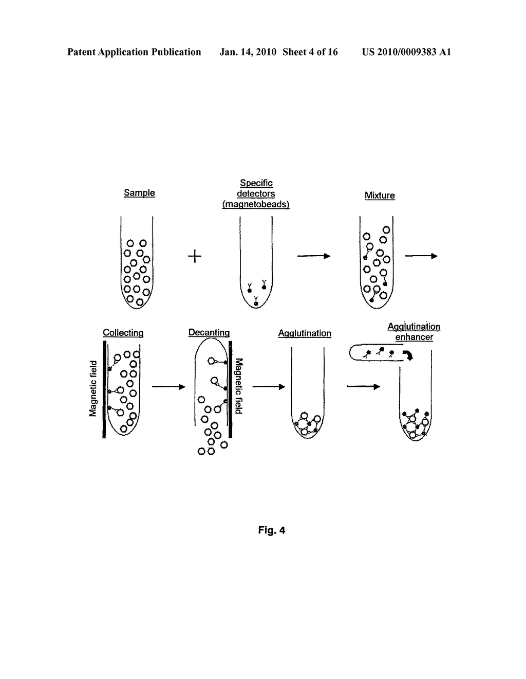 Method for the simple and rapid detection of cells and biomolecules by means of paramagnetic particles - diagram, schematic, and image 05