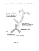 Method of Making and Using Versatile Positive Controls and Antibody Detection Assays diagram and image