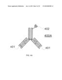 Method of Making and Using Versatile Positive Controls and Antibody Detection Assays diagram and image