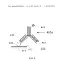 Method of Making and Using Versatile Positive Controls and Antibody Detection Assays diagram and image