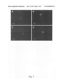 Novel population of multipotent cardiac precursor cells derived from human blastocysts derived stem cells diagram and image