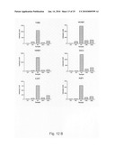 Novel population of multipotent cardiac precursor cells derived from human blastocysts derived stem cells diagram and image