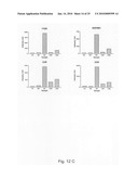 Novel population of multipotent cardiac precursor cells derived from human blastocysts derived stem cells diagram and image