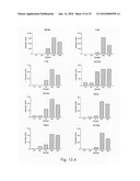 Novel population of multipotent cardiac precursor cells derived from human blastocysts derived stem cells diagram and image