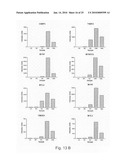 Novel population of multipotent cardiac precursor cells derived from human blastocysts derived stem cells diagram and image