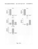 Novel population of multipotent cardiac precursor cells derived from human blastocysts derived stem cells diagram and image