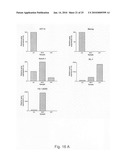 Novel population of multipotent cardiac precursor cells derived from human blastocysts derived stem cells diagram and image