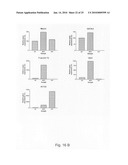 Novel population of multipotent cardiac precursor cells derived from human blastocysts derived stem cells diagram and image