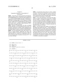 PRODUCTION OF BETA-LACTAM ANTIBIOTICS diagram and image