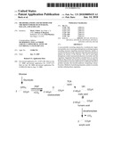 MICROORGANISMS AND METHODS FOR THE BIOSYNTHESIS OF FUMARATE, MALATE, AND ACRYLATE diagram and image