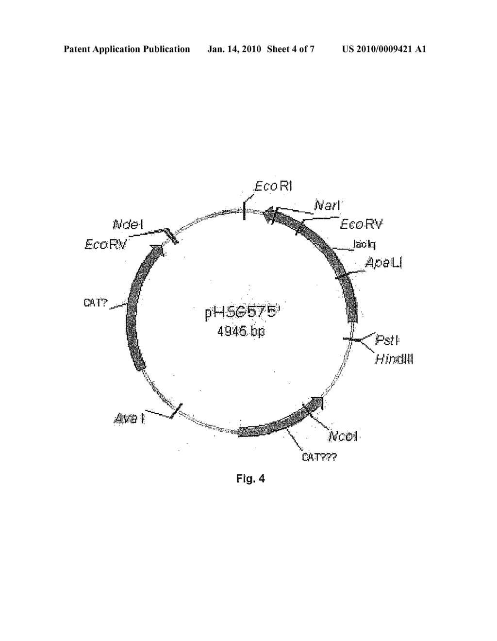 Method For The Enzymatic Reduction Of Alkyne Derivates - diagram, schematic, and image 05