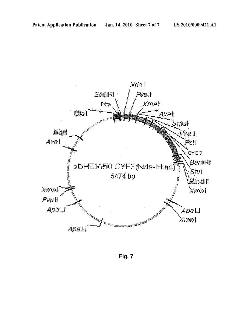 Method For The Enzymatic Reduction Of Alkyne Derivates - diagram, schematic, and image 08