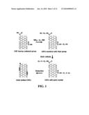 CONDUCTIVE CARBON NANOTUBES DOTTED WITH METAL AND METHOD FOR FABRICATING A BIOSENSOR USING THE SAME diagram and image