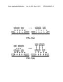 CONDUCTIVE CARBON NANOTUBES DOTTED WITH METAL AND METHOD FOR FABRICATING A BIOSENSOR USING THE SAME diagram and image