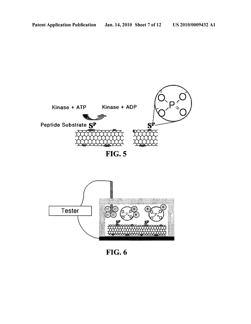 CONDUCTIVE CARBON NANOTUBES DOTTED WITH METAL AND METHOD FOR FABRICATING A BIOSENSOR USING THE SAME - diagram, schematic, and image 08