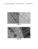 CONDUCTIVE CARBON NANOTUBES DOTTED WITH METAL AND METHOD FOR FABRICATING A BIOSENSOR USING THE SAME diagram and image