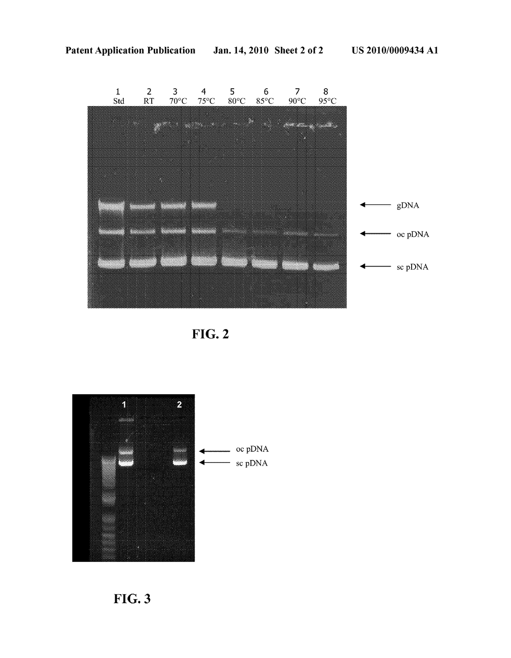 Method for the Selective Enrichment of Double-Stranded Dna from Nucleic Acid Mixtures - diagram, schematic, and image 03