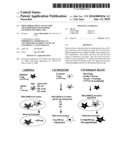 High throughput assays for transmissible spongiform encephalopathies (TSE) diagram and image