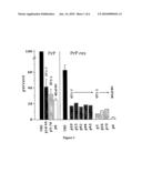 High throughput assays for transmissible spongiform encephalopathies (TSE) diagram and image