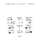 High throughput assays for transmissible spongiform encephalopathies (TSE) diagram and image