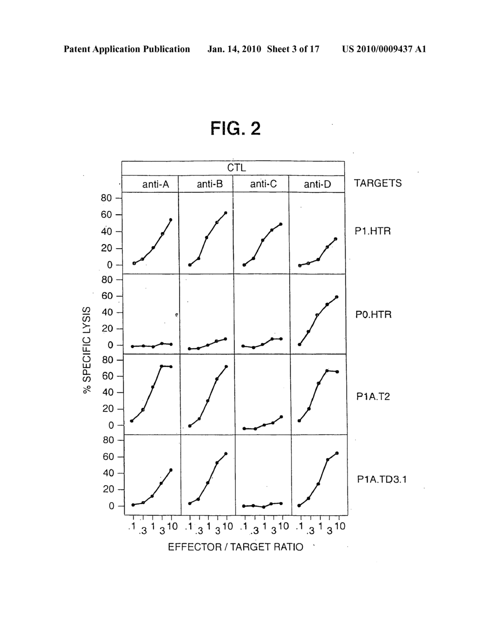 Isolated proteins MAGE-4 and MAGE-41 - diagram, schematic, and image 04