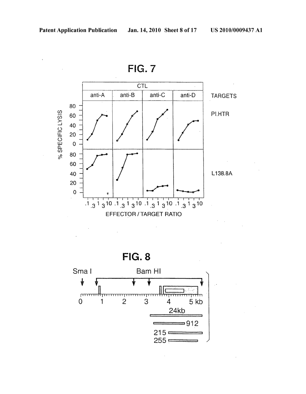 Isolated proteins MAGE-4 and MAGE-41 - diagram, schematic, and image 09