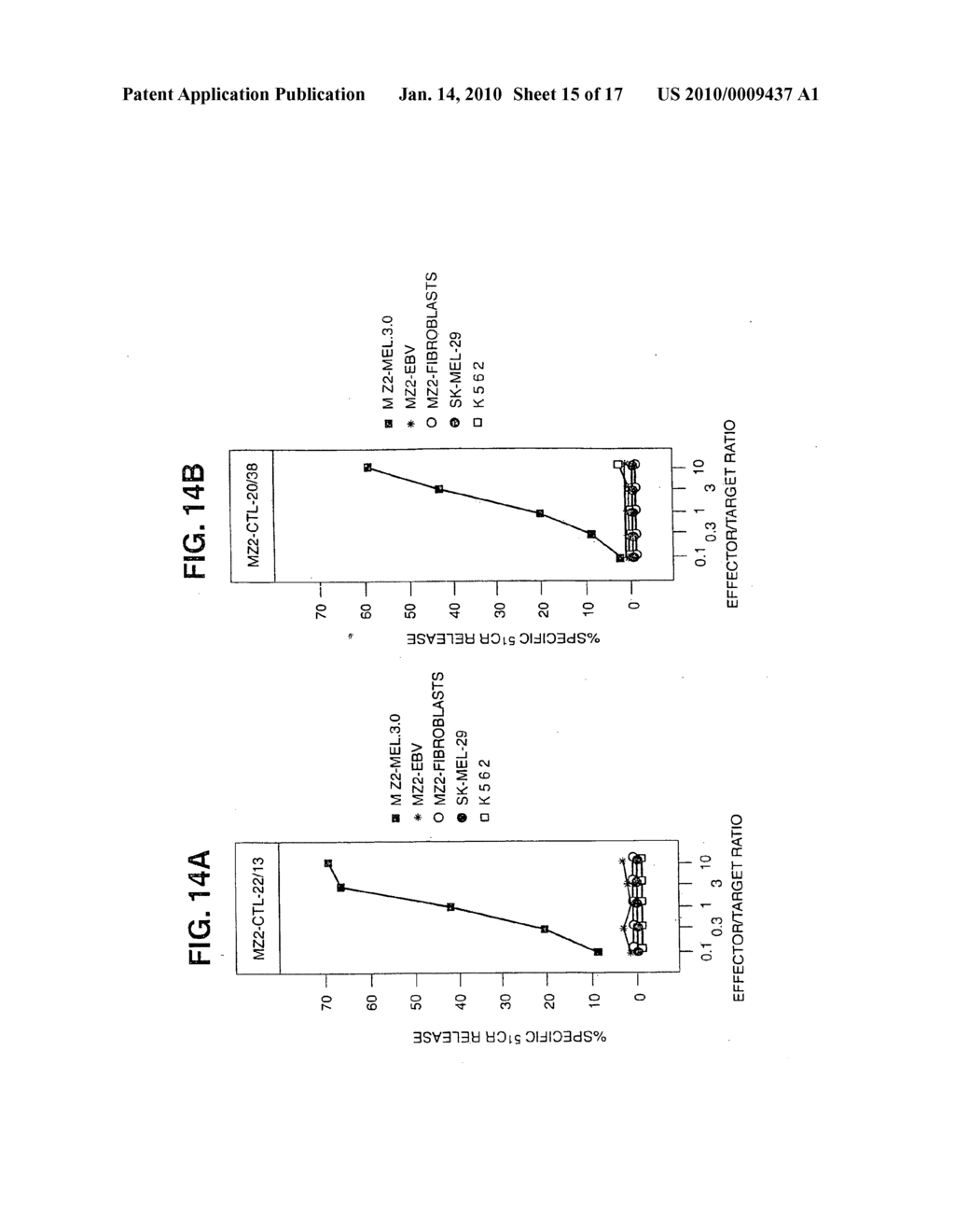 Isolated proteins MAGE-4 and MAGE-41 - diagram, schematic, and image 16