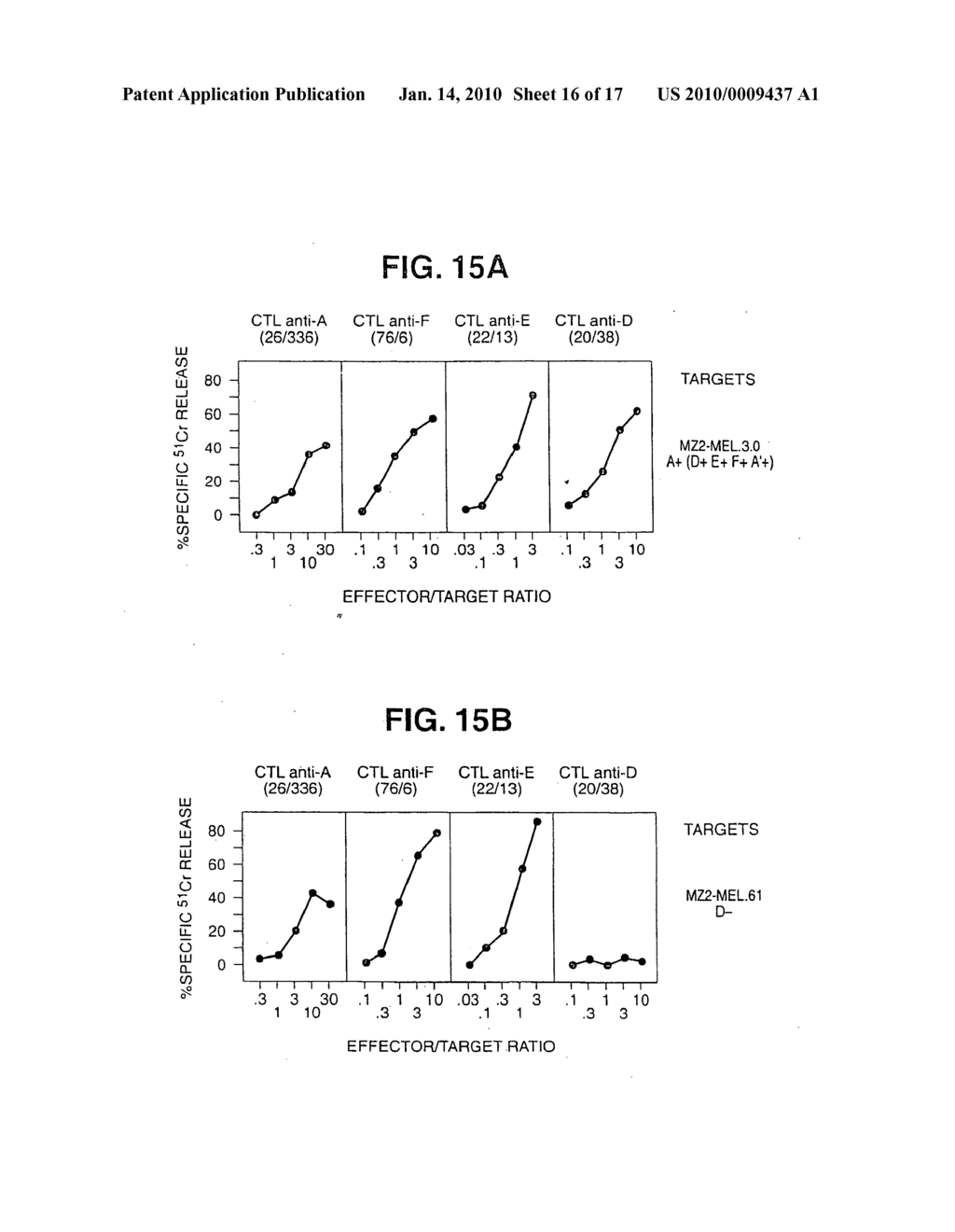 Isolated proteins MAGE-4 and MAGE-41 - diagram, schematic, and image 17